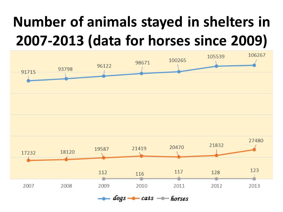 Number of animals stayed in shelters in (data for horses since 2009)