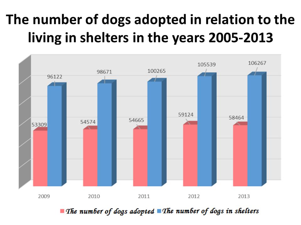 The number of dogs adopted in relation to the living in shelters in the years