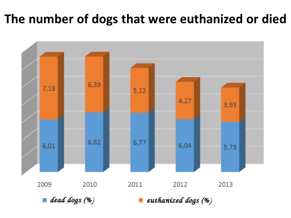 The number of dogs that were euthanized or died