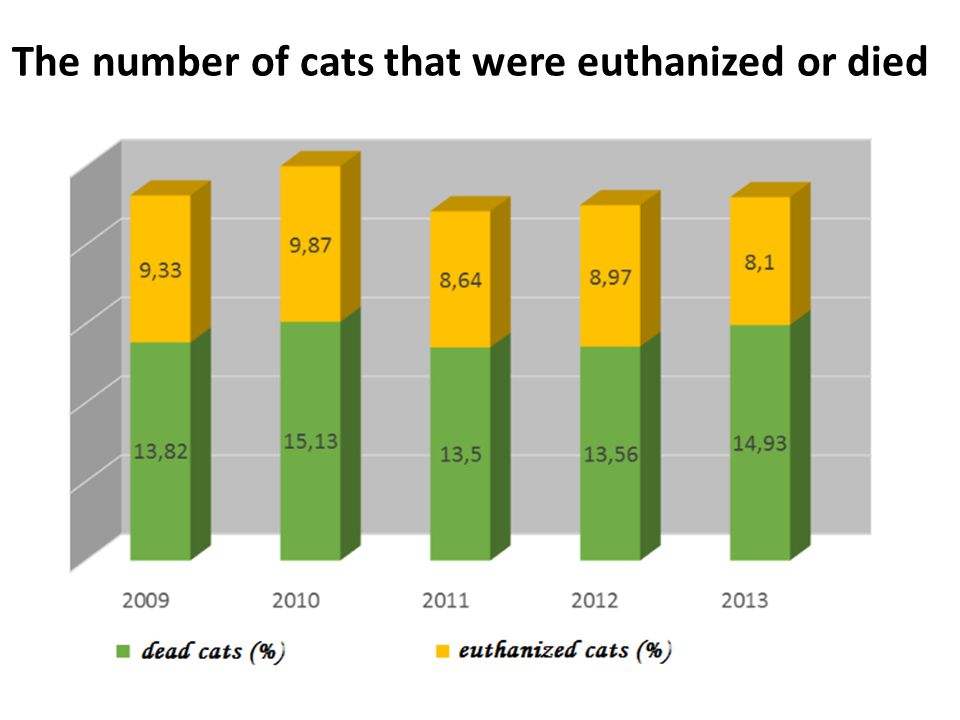 The number of cats that were euthanized or died