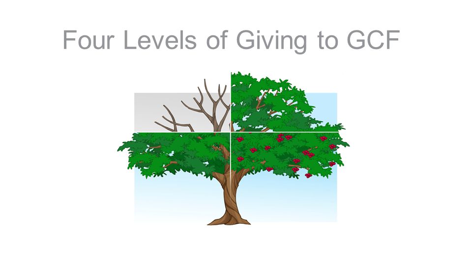 Four Levels of Giving to GCF