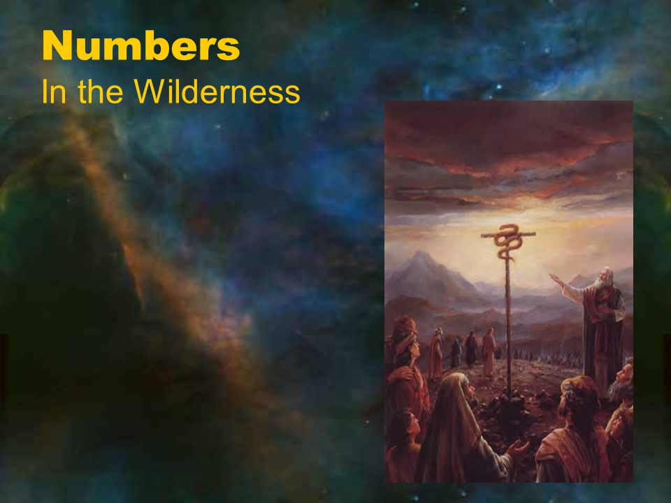 Numbers In the Wilderness