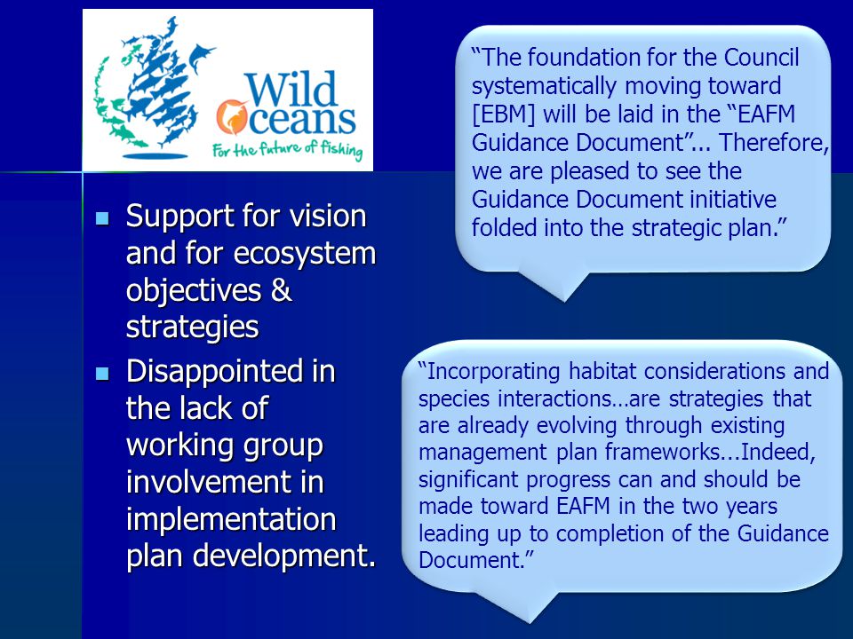 Support for vision and for ecosystem objectives & strategies Support for vision and for ecosystem objectives & strategies Disappointed in the lack of working group involvement in implementation plan development.
