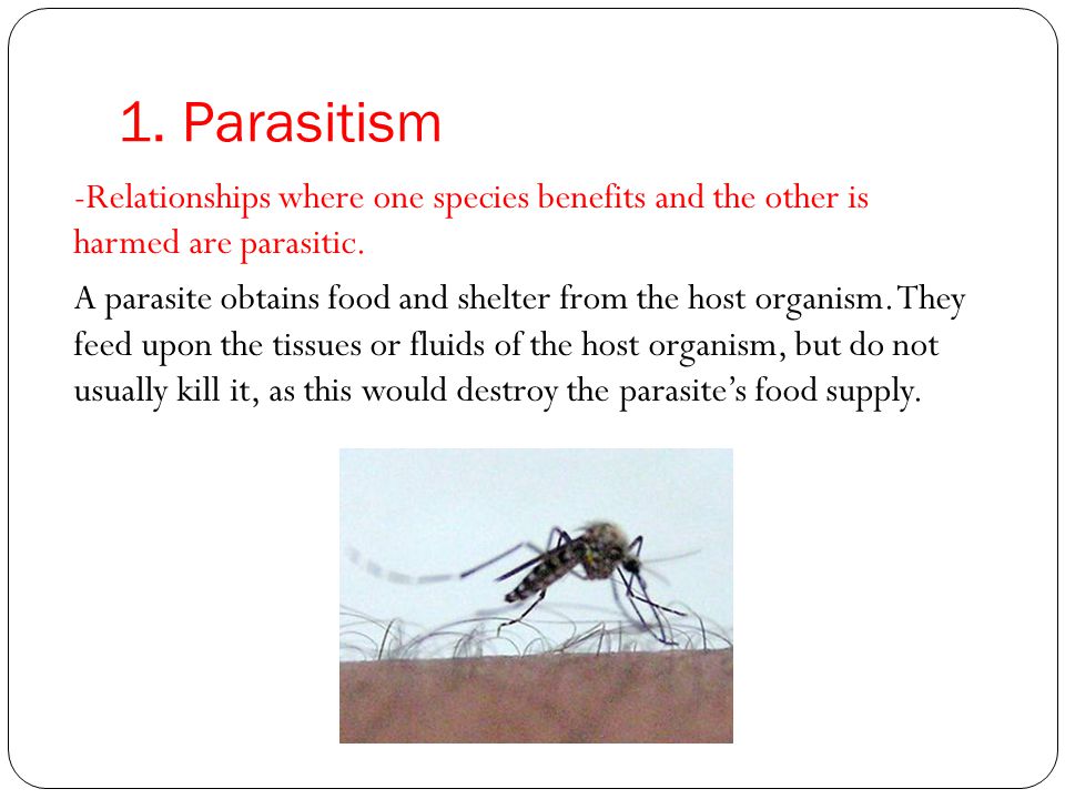 1. Parasitism -Relationships where one species benefits and the other is harmed are parasitic.