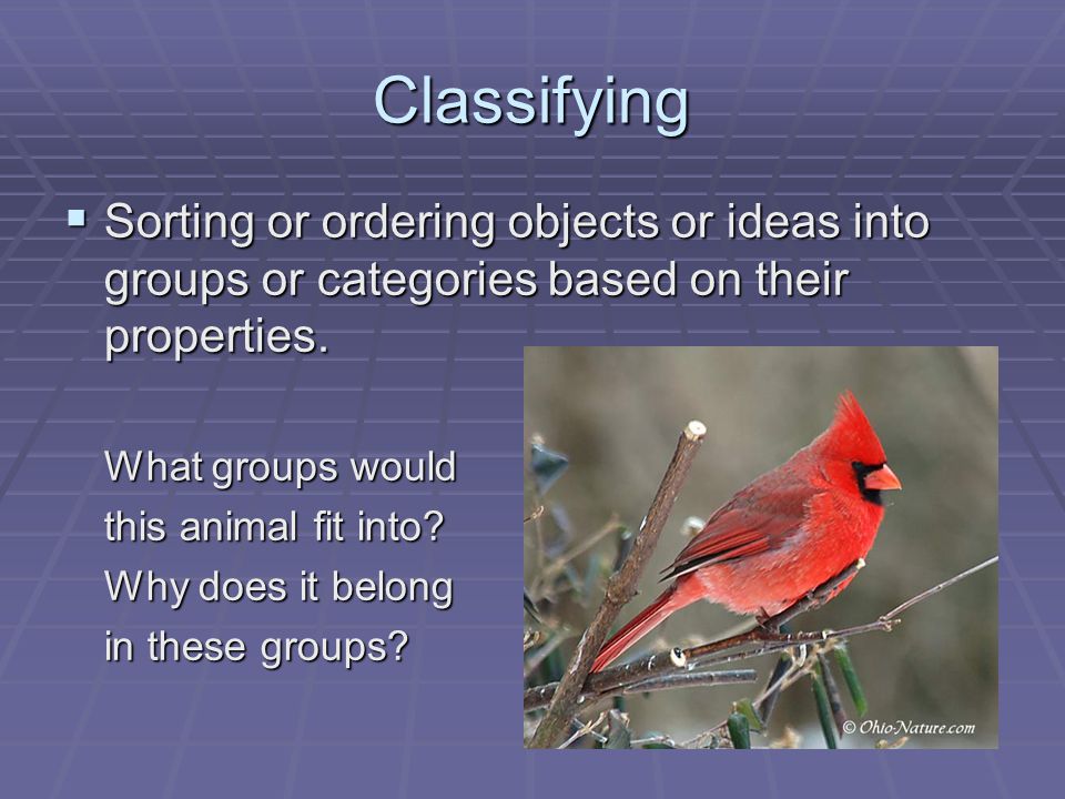 Classifying  Sorting or ordering objects or ideas into groups or categories based on their properties.