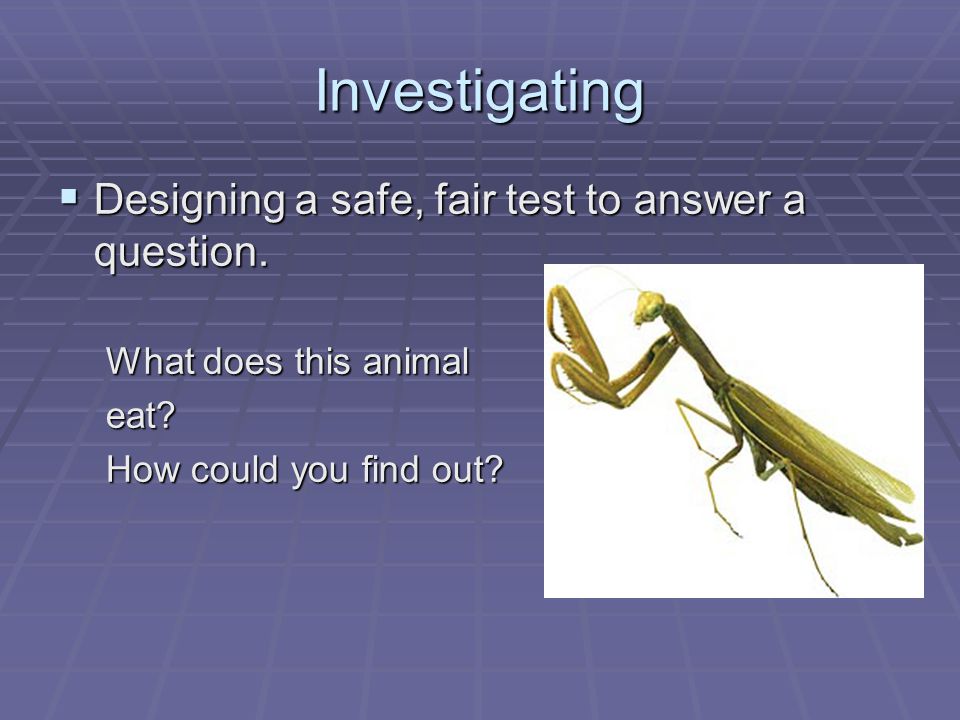 Investigating  Designing a safe, fair test to answer a question.