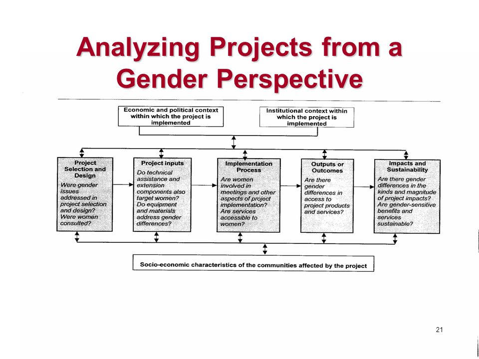 Analyzing Projects from a Gender Perspective 21