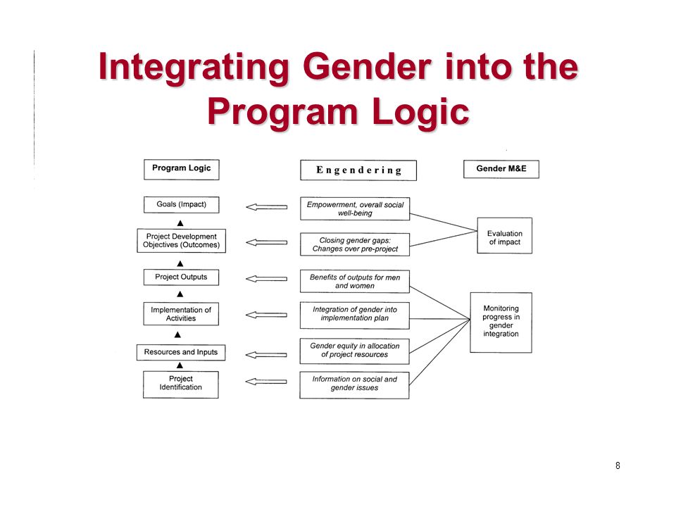 Integrating Gender into the Program Logic 8