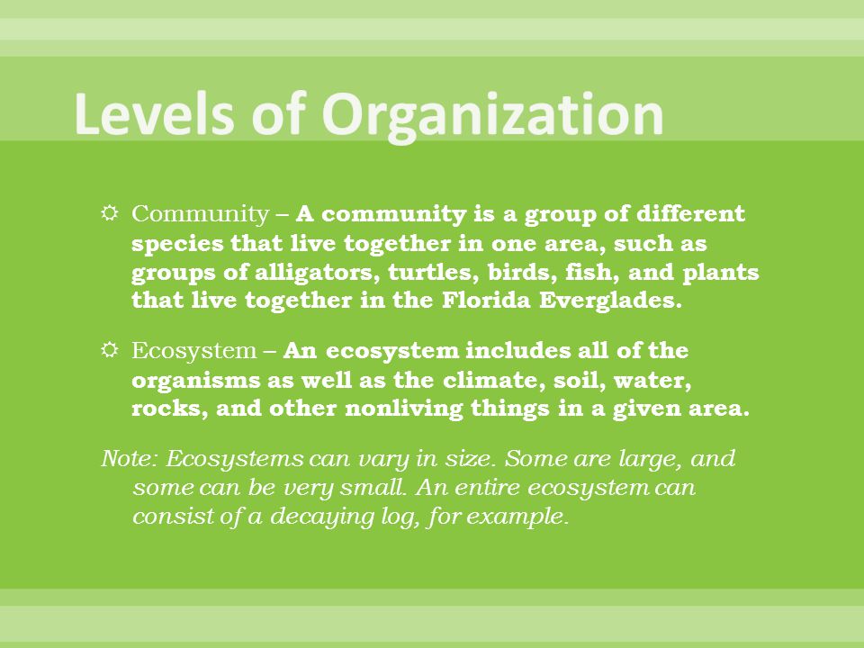 Community – A community is a group of different species that live together in one area, such as groups of alligators, turtles, birds, fish, and plants that live together in the Florida Everglades.