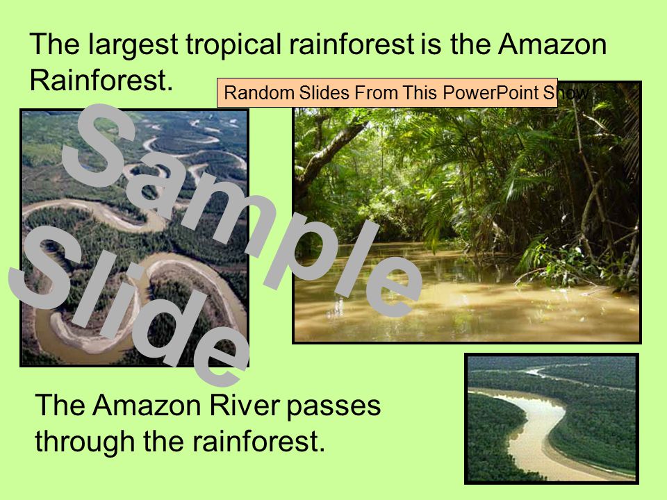 The largest tropical rainforest is the Amazon Rainforest.