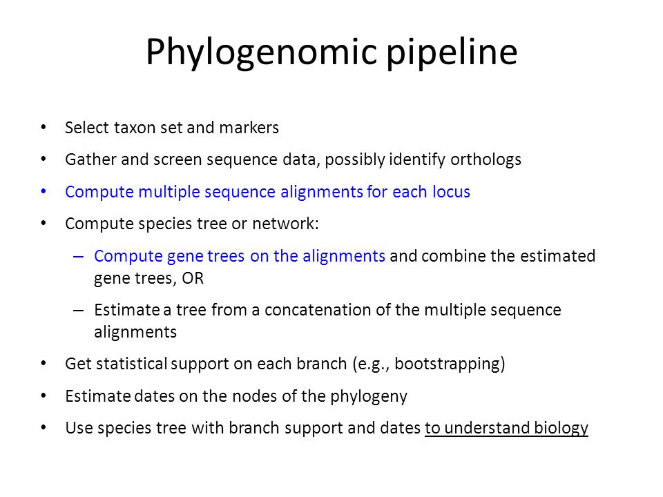 Phylogenomic pipeline Select taxon set and markers Gather and screen sequence data, possibly identify orthologs Compute multiple sequence alignments for each locus Compute species tree or network: – Compute gene trees on the alignments and combine the estimated gene trees, OR – Estimate a tree from a concatenation of the multiple sequence alignments Get statistical support on each branch (e.g., bootstrapping) Estimate dates on the nodes of the phylogeny Use species tree with branch support and dates to understand biology