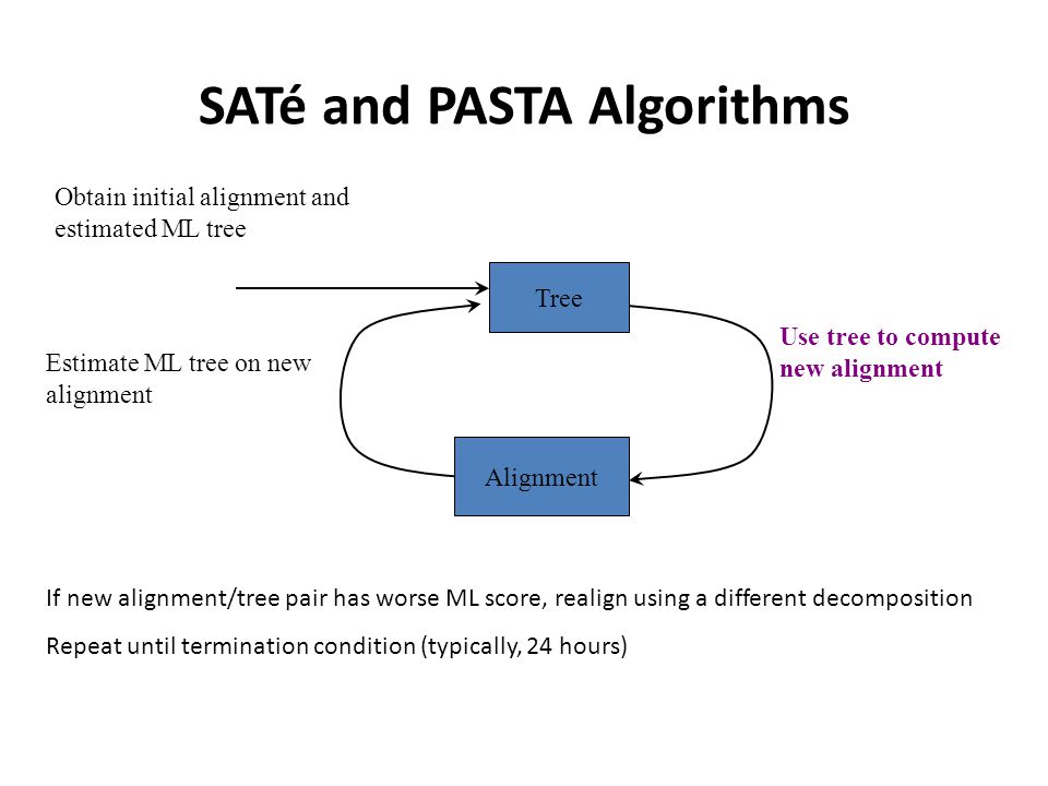 SATé and PASTA Algorithms Estimate ML tree on new alignment Tree Obtain initial alignment and estimated ML tree Use tree to compute new alignment Alignment If new alignment/tree pair has worse ML score, realign using a different decomposition Repeat until termination condition (typically, 24 hours)
