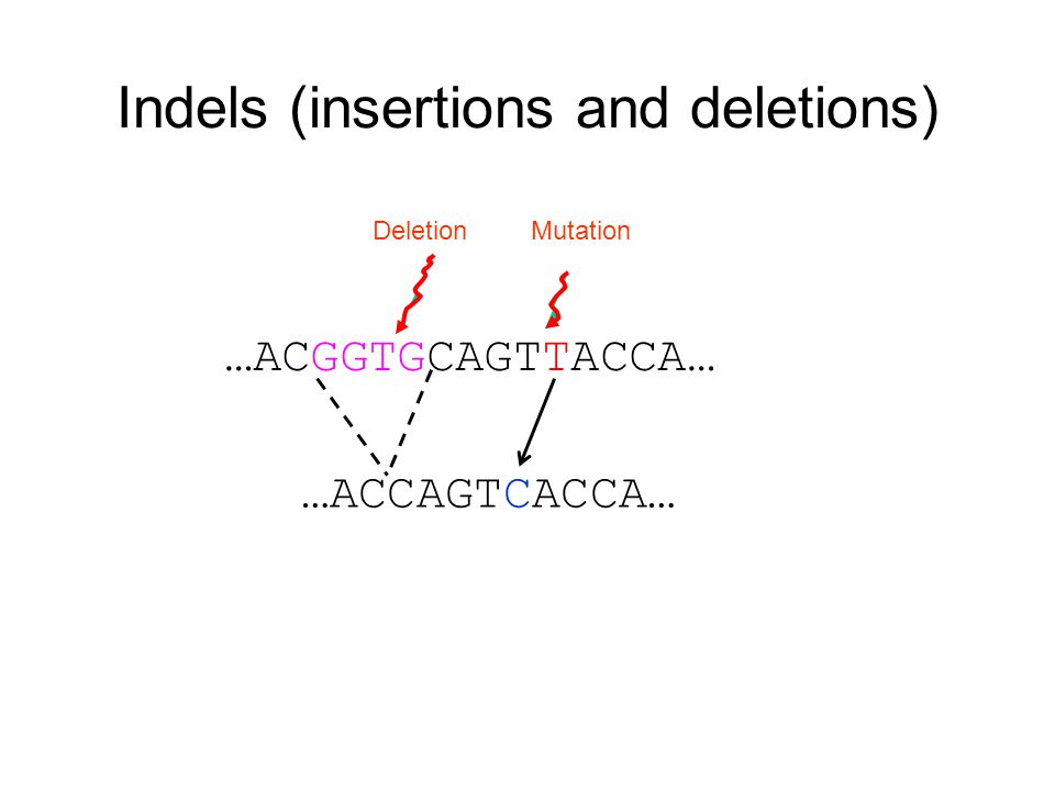 …ACGGTGCAGTTACCA… MutationDeletion …ACCAGTCACCA… Indels (insertions and deletions)