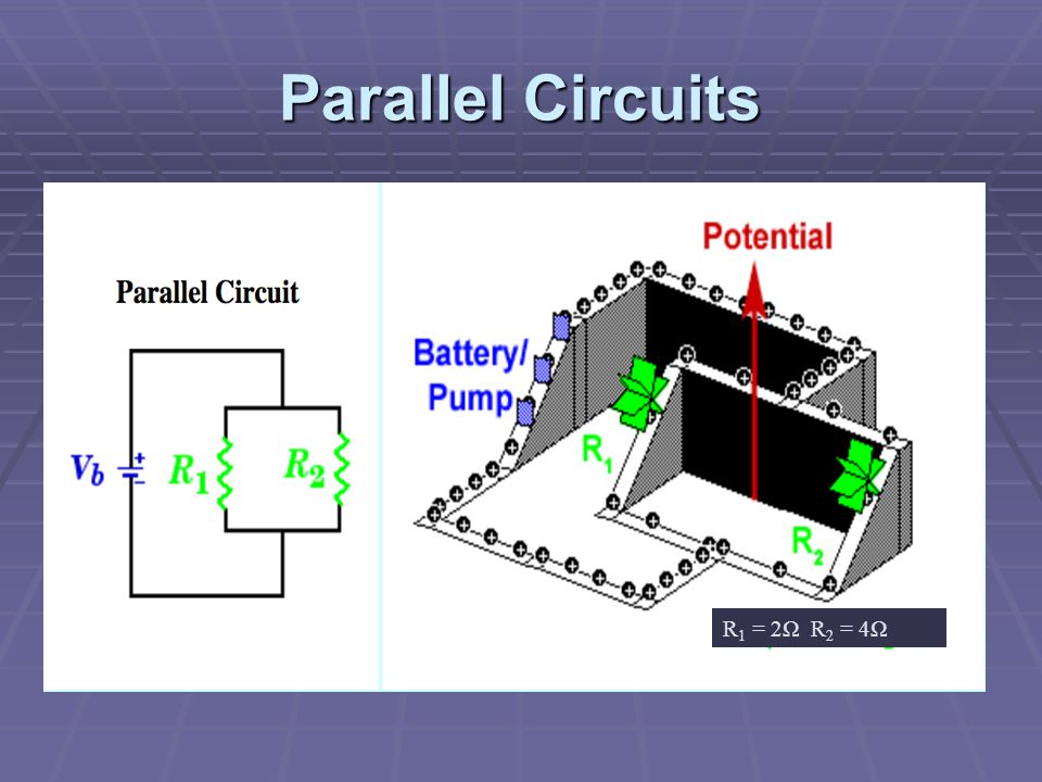 Parallel Circuits R 1 = 2Ω R 2 = 4Ω