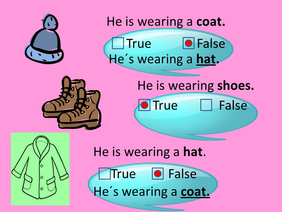 He is wearing a coat. True He´s wearing a hat. He is wearing shoes.