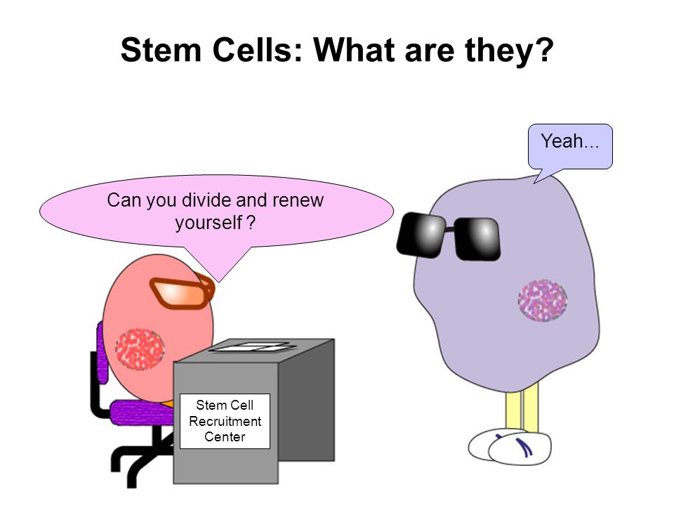 Stem Cells and Cancer Cancer Education Project University of Rochester. -  ppt download