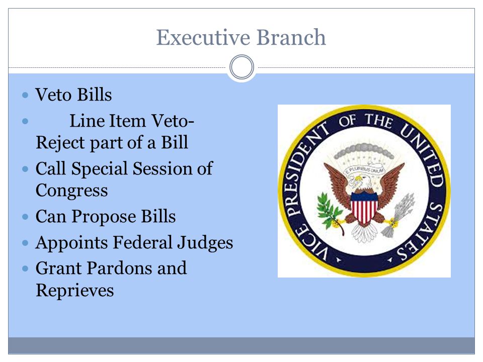 Executive Branch Veto Bills Line Item Veto- Reject part of a Bill Call Special Session of Congress Can Propose Bills Appoints Federal Judges Grant Pardons and Reprieves
