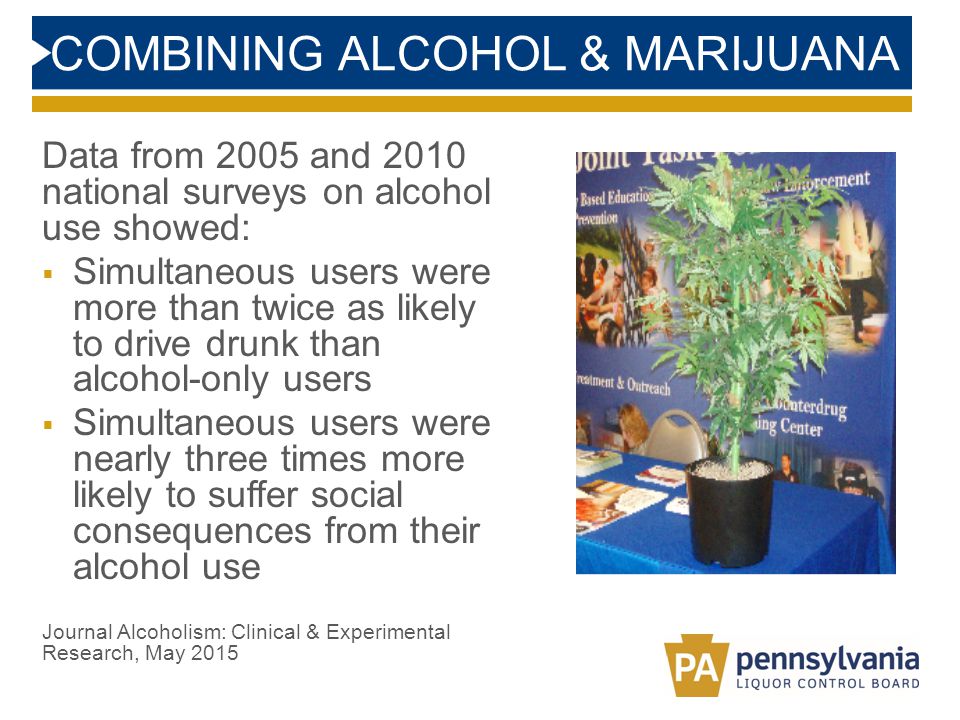 COMBINING ALCOHOL & MARIJUANA Data from 2005 and 2010 national surveys on alcohol use showed:  Simultaneous users were more than twice as likely to drive drunk than alcohol-only users  Simultaneous users were nearly three times more likely to suffer social consequences from their alcohol use Journal Alcoholism: Clinical & Experimental Research, May 2015