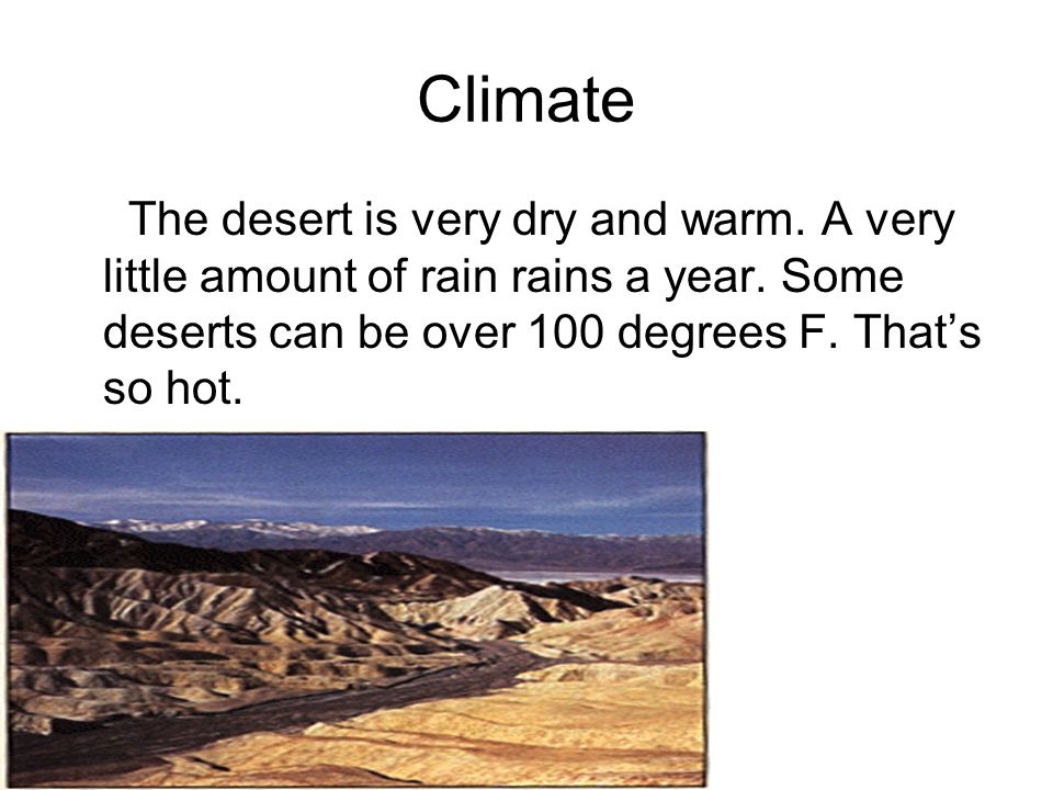 Climate The desert is very dry and warm. A very little amount of rain rains a year.