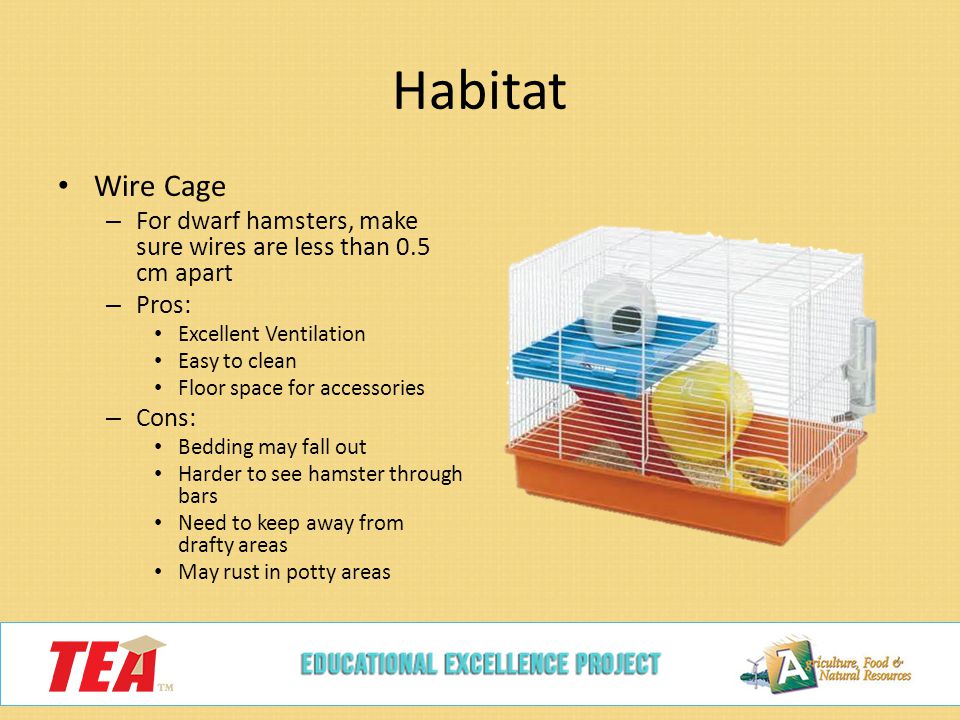 Habitat Wire Cage – For dwarf hamsters, make sure wires are less than 0.5 cm apart – Pros: Excellent Ventilation Easy to clean Floor space for accessories – Cons: Bedding may fall out Harder to see hamster through bars Need to keep away from drafty areas May rust in potty areas
