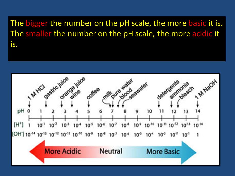 The bigger the number on the pH scale, the more basic it is.