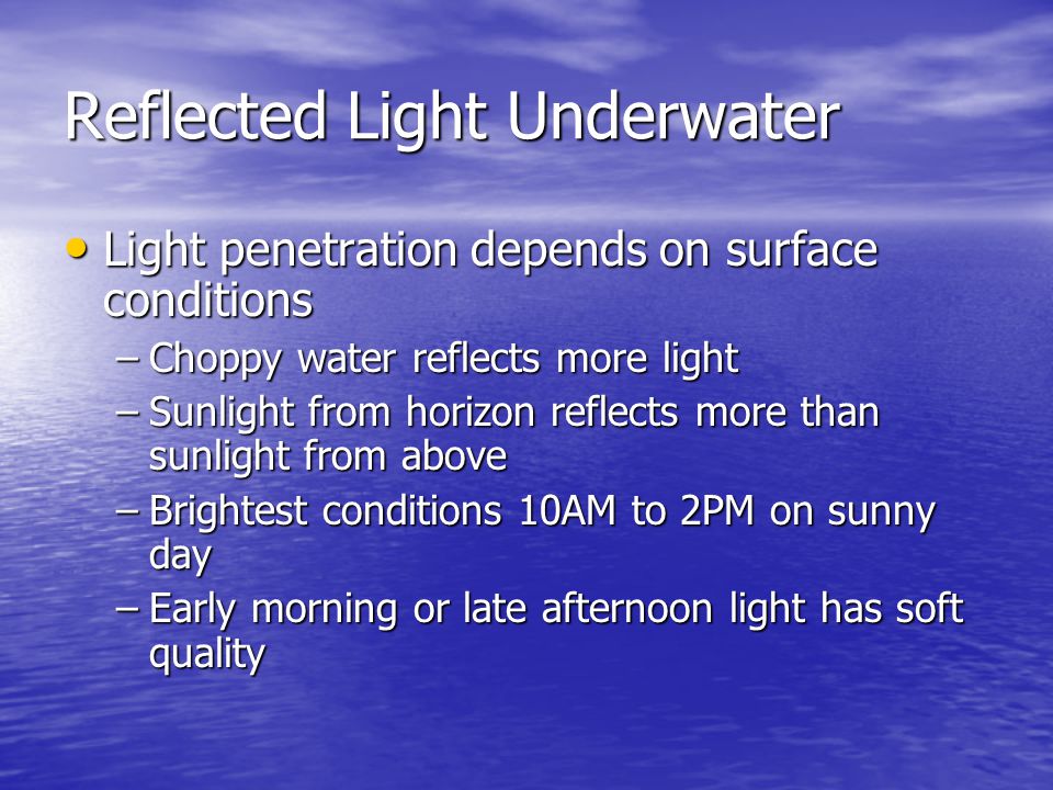 Reflected Light Underwater Light penetration depends on surface conditions Light penetration depends on surface conditions –Choppy water reflects more light –Sunlight from horizon reflects more than sunlight from above –Brightest conditions 10AM to 2PM on sunny day –Early morning or late afternoon light has soft quality