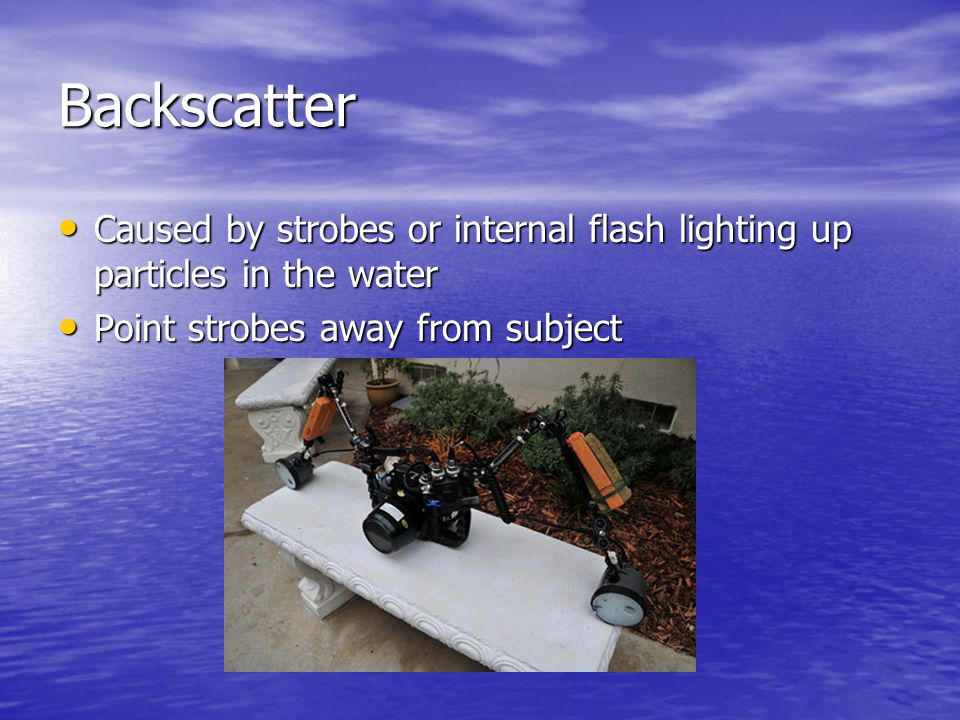 Backscatter Caused by strobes or internal flash lighting up particles in the water Caused by strobes or internal flash lighting up particles in the water Point strobes away from subject Point strobes away from subject