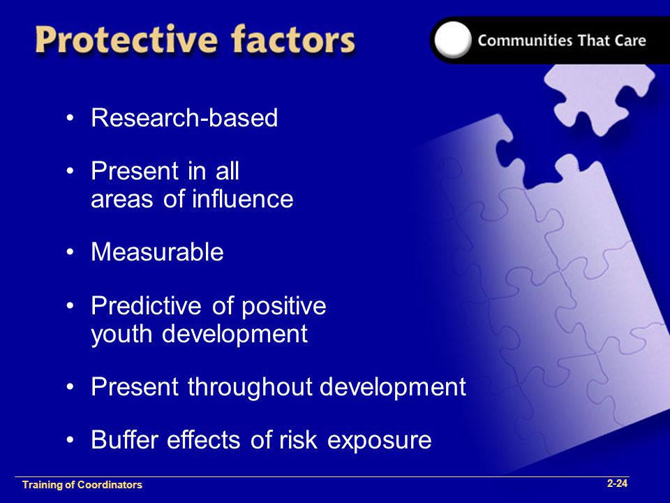 1-2 Training of Process Facilitators Research-based Present in all areas of influence Measurable Predictive of positive youth development Present throughout development Buffer effects of risk exposure Training of Coordinators 2-24