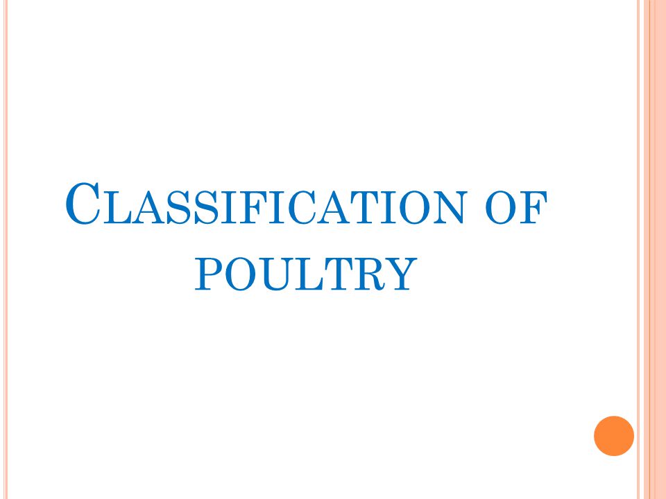 C LASSIFICATION OF POULTRY