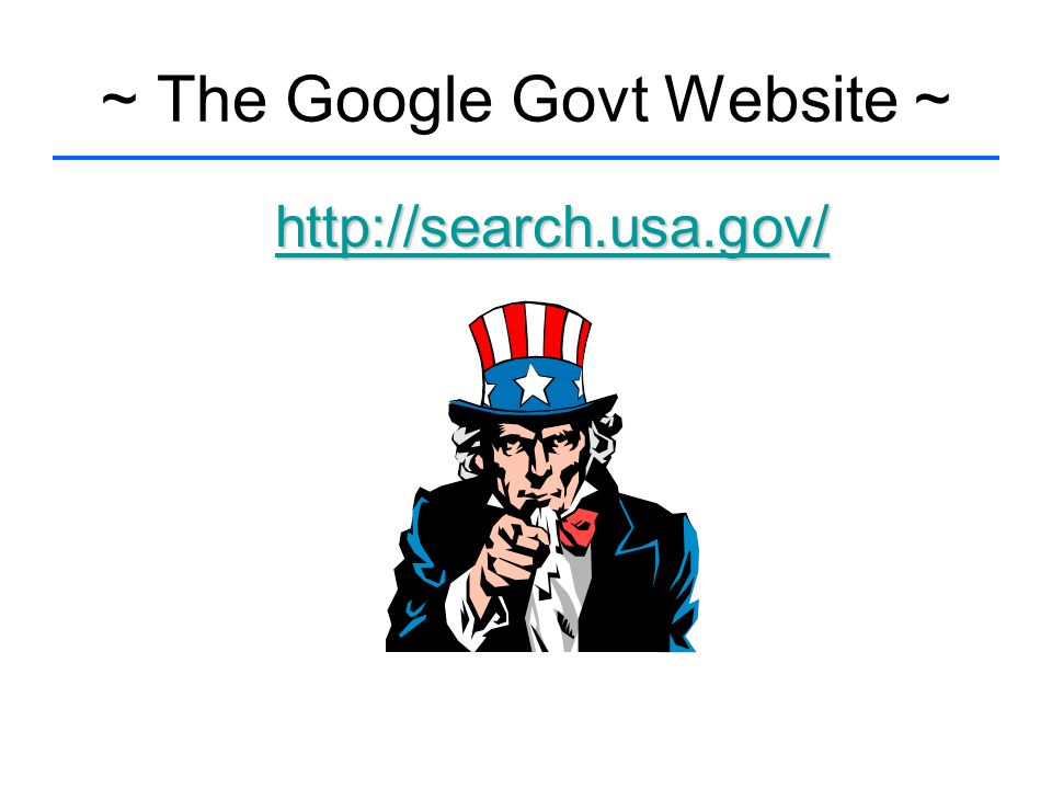 ~ The Google Govt Website ~