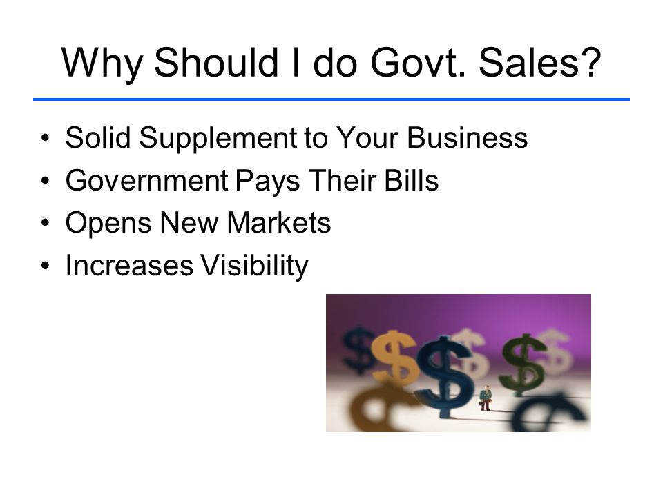 Why Should I do Govt. Sales.