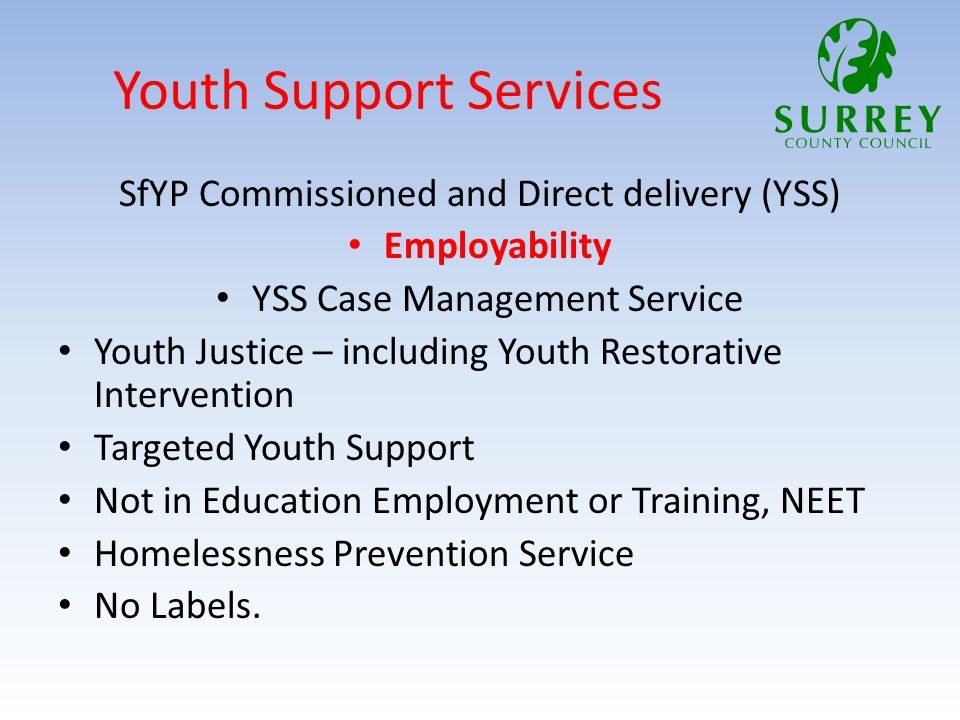 Youth Support Services SfYP Commissioned and Direct delivery (YSS) Employability YSS Case Management Service Youth Justice – including Youth Restorative Intervention Targeted Youth Support Not in Education Employment or Training, NEET Homelessness Prevention Service No Labels.