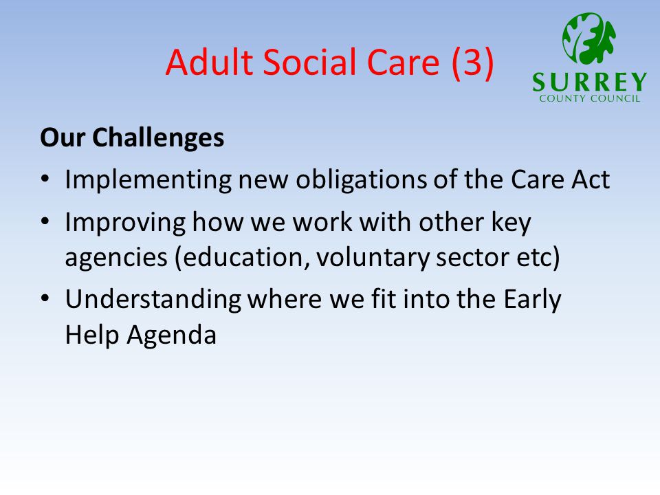 Adult Social Care (3) Our Challenges Implementing new obligations of the Care Act Improving how we work with other key agencies (education, voluntary sector etc) Understanding where we fit into the Early Help Agenda