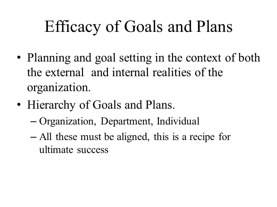 Efficacy of Goals and Plans Planning and goal setting in the context of both the external and internal realities of the organization.