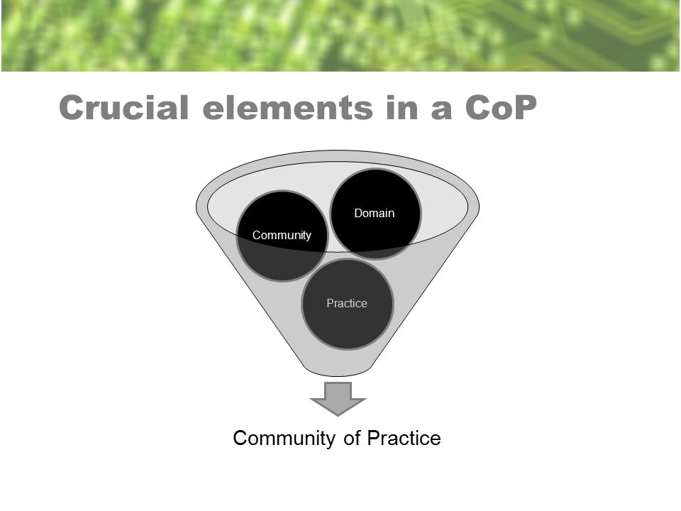 Crucial elements in a CoP Community of Practice PracticeCommunityDomain