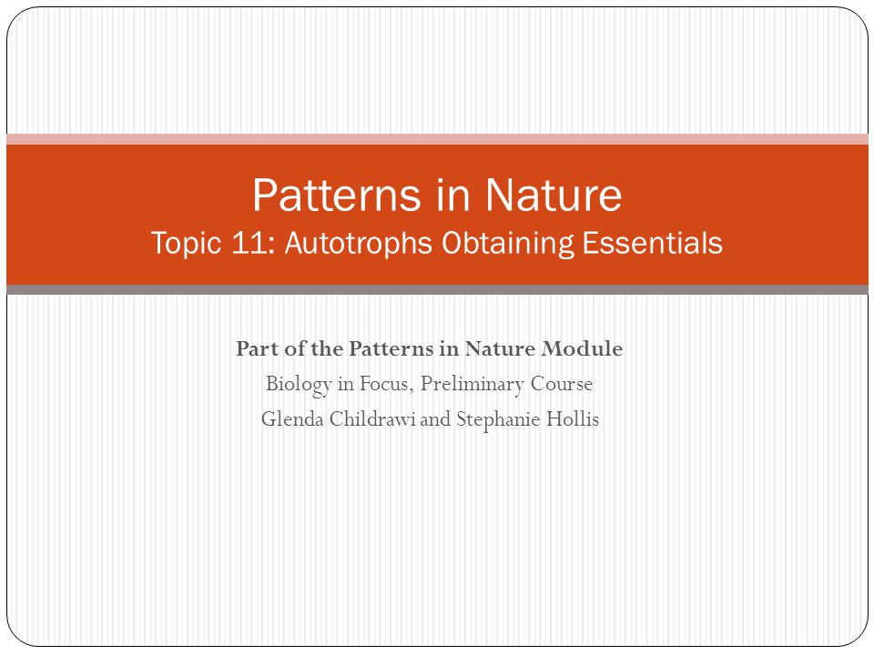 Part of the Patterns in Nature Module Biology in Focus, Preliminary Course Glenda Childrawi and Stephanie Hollis Patterns in Nature Topic 11: Autotrophs Obtaining Essentials