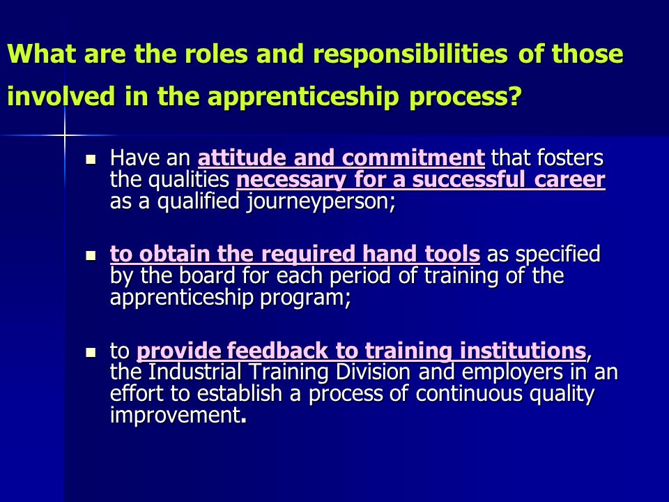 What are the roles and responsibilities of those involved in the apprenticeship process.