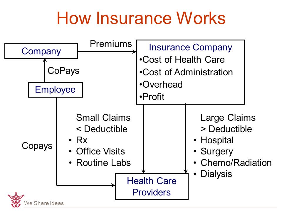 We Share Ideas Large Claims > Deductible Hospital Surgery Chemo/Radiation Dialysis How Insurance Works Premiums Health Care Providers Small Claims < Deductible Rx Office Visits Routine Labs Insurance Company Cost of Health Care Cost of Administration Overhead Profit Company CoPays Copays Employee