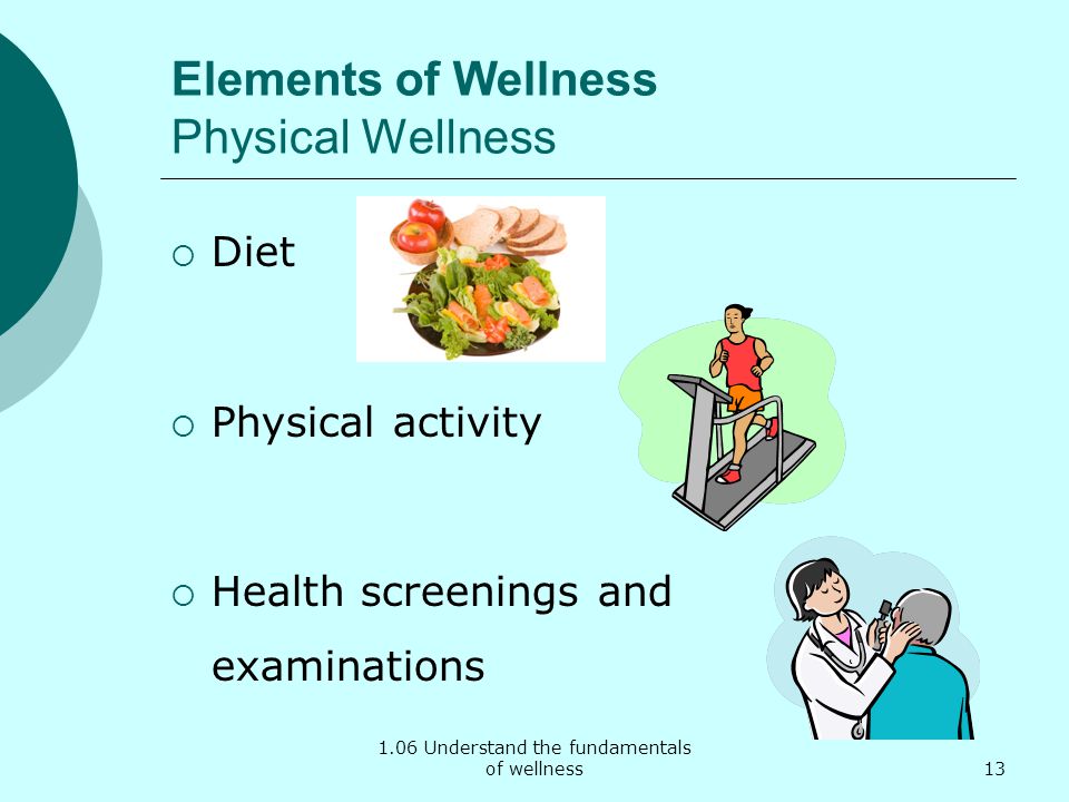 1.06 Understand the fundamentals of wellness Elements of Wellness Physical Wellness  Diet  Physical activity  Health screenings and examinations 13