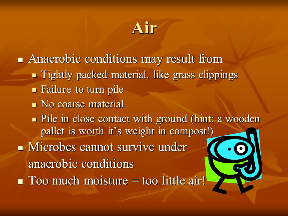 Air Anaerobic conditions may result from Anaerobic conditions may result from Tightly packed material, like grass clippings Tightly packed material, like grass clippings Failure to turn pile Failure to turn pile No coarse material No coarse material Pile in close contact with ground (hint: a wooden pallet is worth it’s weight in compost!) Pile in close contact with ground (hint: a wooden pallet is worth it’s weight in compost!) Microbes cannot survive under Microbes cannot survive under anaerobic conditions Too much moisture = too little air.