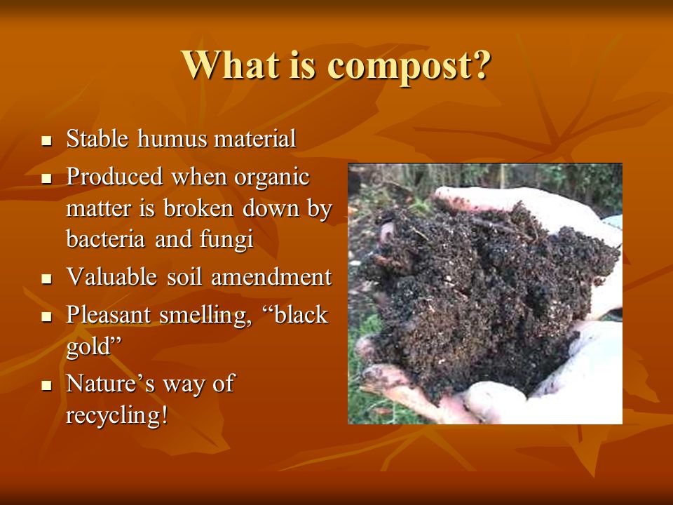 What is compost.