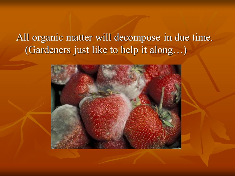 All organic matter will decompose in due time. (Gardeners just like to help it along…)