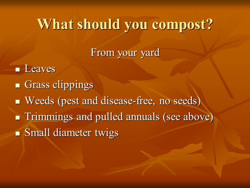 What should you compost.
