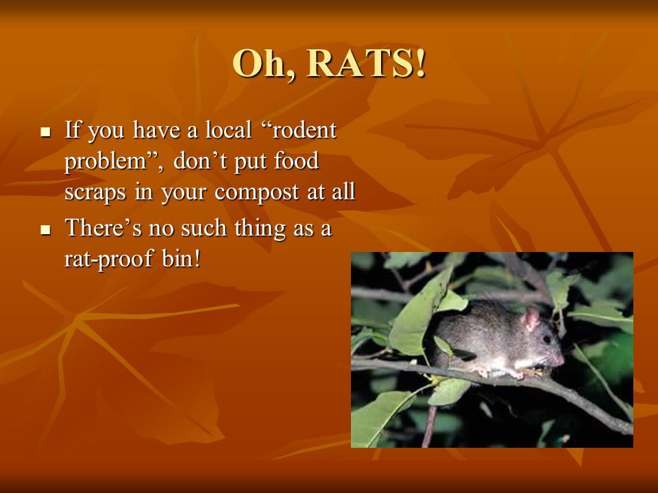 Oh, RATS.