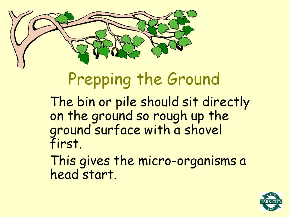 The bin or pile should sit directly on the ground so rough up the ground surface with a shovel first.