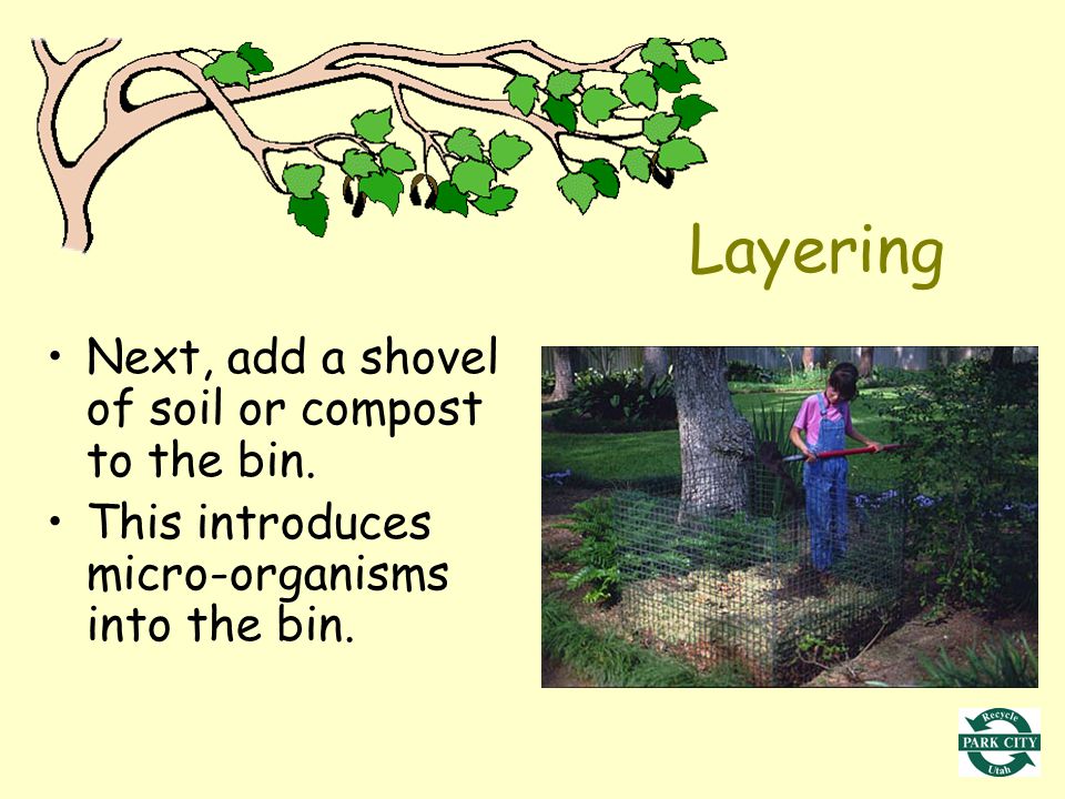 Next, add a shovel of soil or compost to the bin. This introduces micro-organisms into the bin.