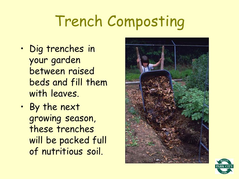 Trench Composting Dig trenches in your garden between raised beds and fill them with leaves.