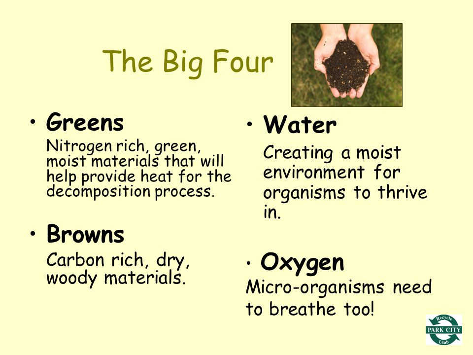 The Big Four Greens Nitrogen rich, green, moist materials that will help provide heat for the decomposition process.