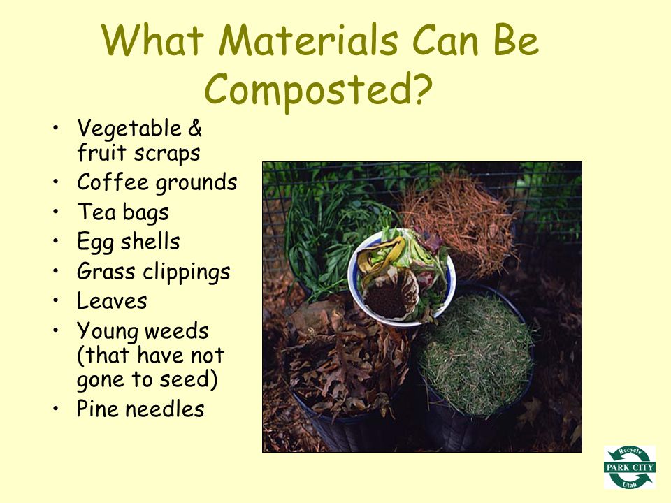 What Materials Can Be Composted.