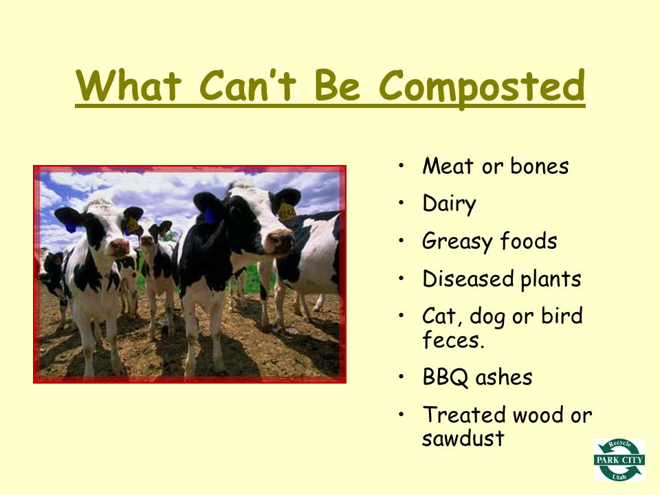 What Can’t Be Composted Meat or bones Dairy Greasy foods Diseased plants Cat, dog or bird feces.